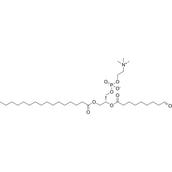 PON-PC 135726-46-4